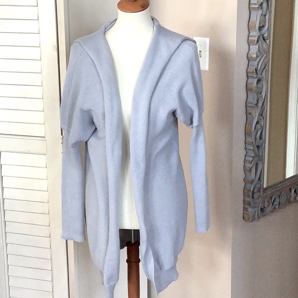 NWOT Gray Hooded Sweater